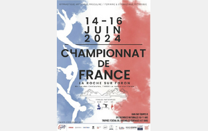 Championnat de France des ensembles FED A