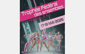 Championnat de France des ensembles FED B et FED C
