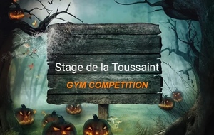 Stage INDIV COMPET de la TOUSSAINT 