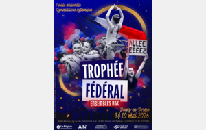 Championnat de France des ensembles FED B - FED C