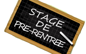 Stage reprise rentrée - GYM NON INDIV - Saison 2027