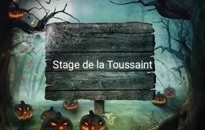 Stage LOISIRS de la TOUSSAINT 2026